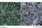 Trees Reflects Income Inequality – Seen From Space