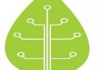 artificial leaf photosynthesis - solar energy, solar power, solar technology