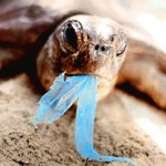 green technology solution - Plastic bag ban