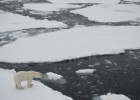 record-low-melting-arctic