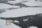 Some records should not be broken: The melting Arctic sea ice has reached its lowest point in recorded history