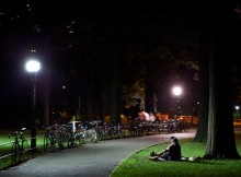 Central Park LEDs - Got Eco Technology