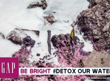 Ask GAP to Detox our water
