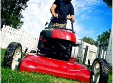 DIY servicing landmowers - servicing, efficiency