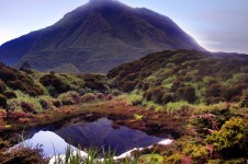 Mt Kitanglad Range Natural Park